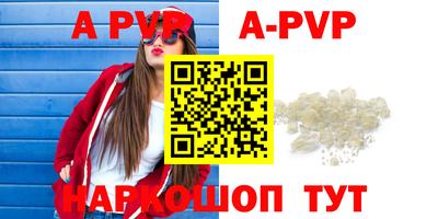 гашик Моздок