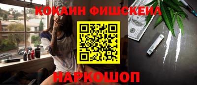 гашик Моздок