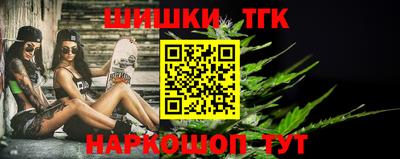 гашик Моздок
