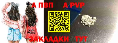 гашик Моздок