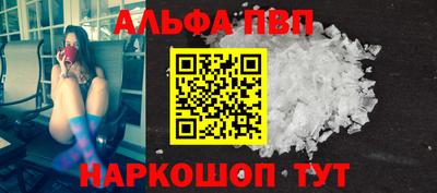 гашик Моздок
