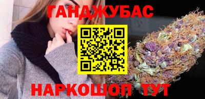 гашик Моздок