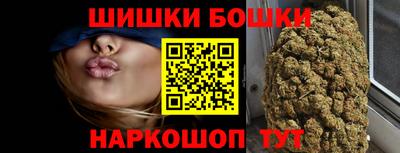 гашик Моздок