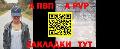 гашик Моздок