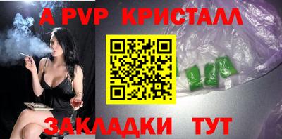 гашик Моздок