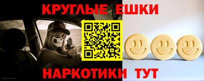 гашик Моздок