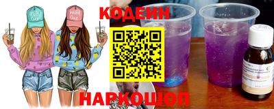 гашик Моздок