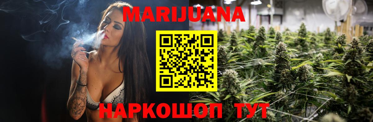 Бошки Шишки план Будённовск